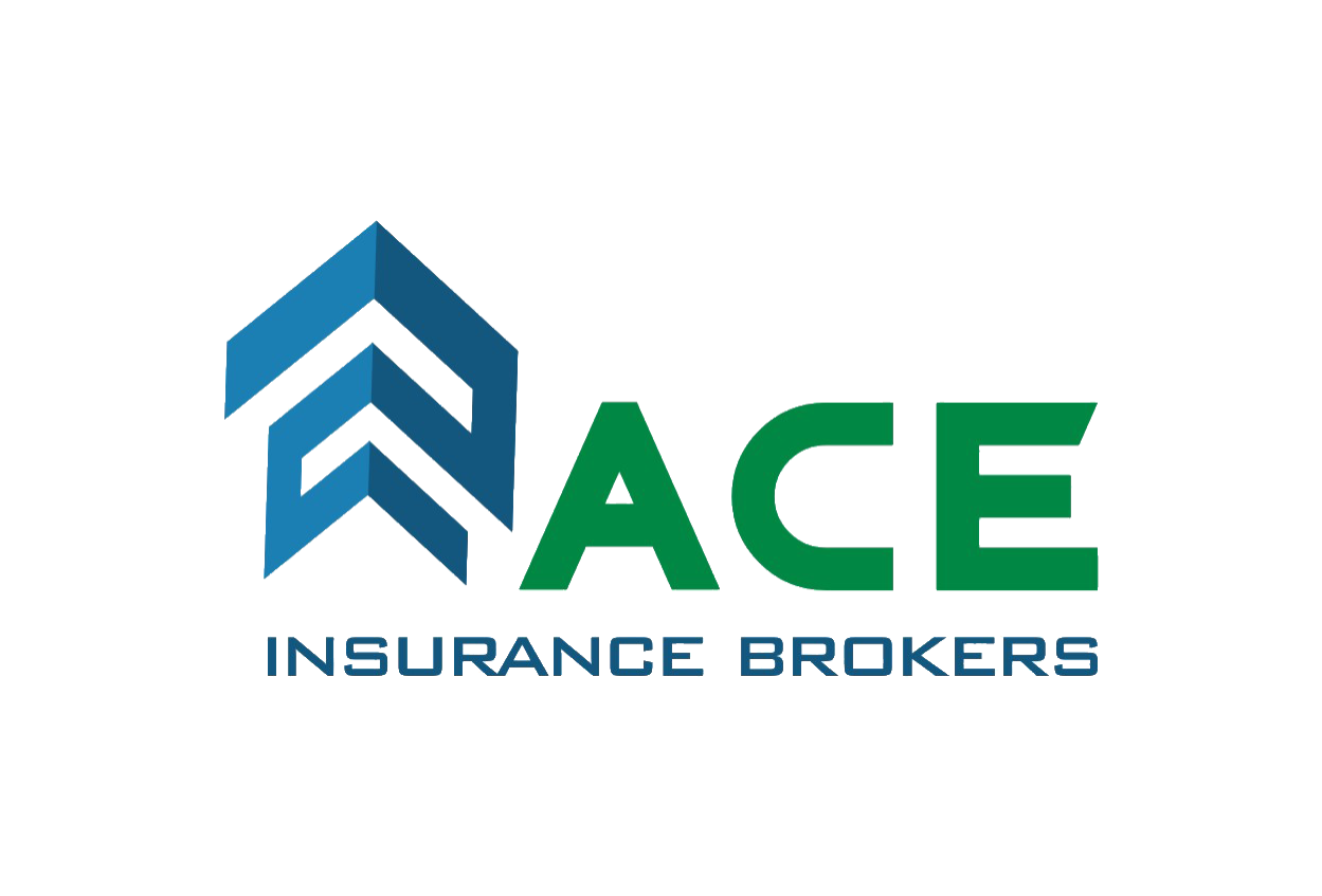 ace insurance india